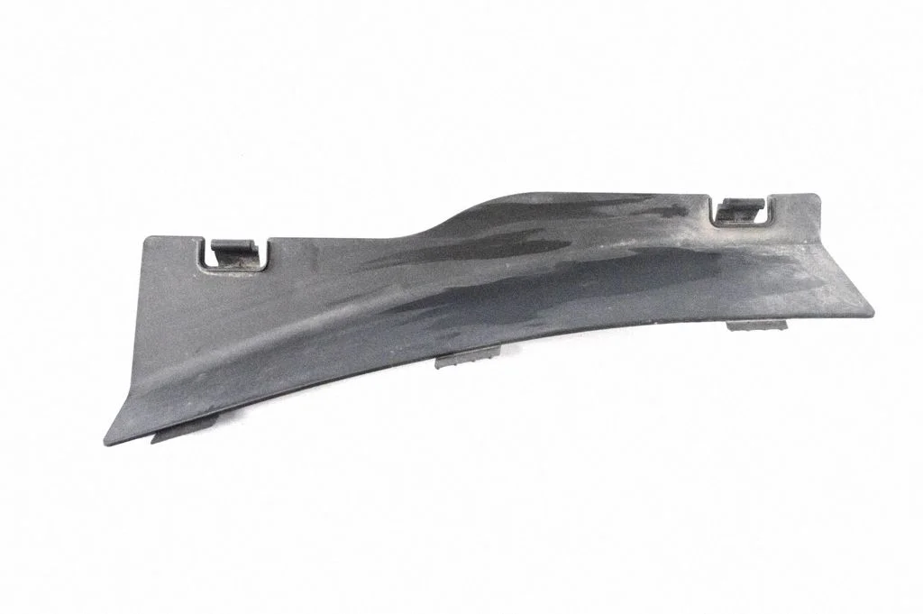 Wiper trim 670010467