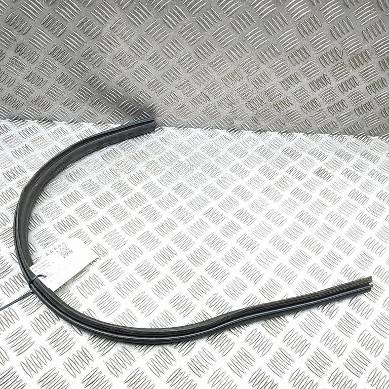 Motora nodalījuma gumija 668302046R