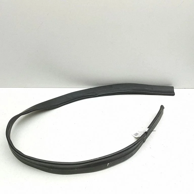 Motora nodalījuma gumija A2538315900