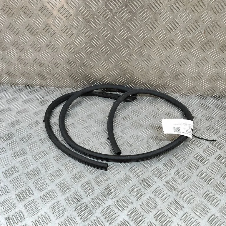 Motora nodalījuma gumija 9841365180