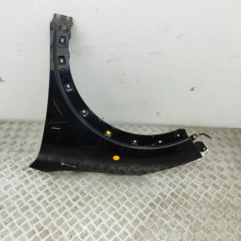 Fender 66311G5000