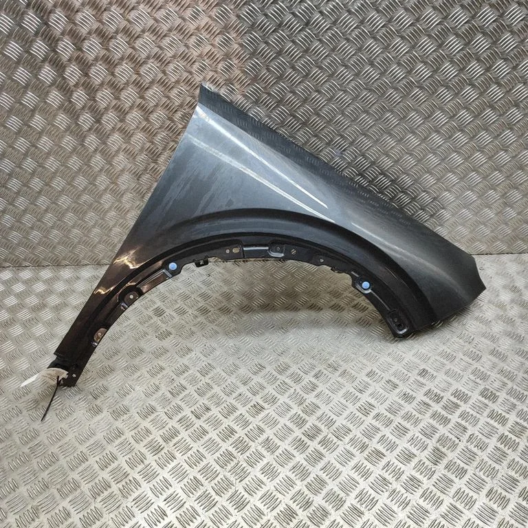 Błotnik 66321P1000