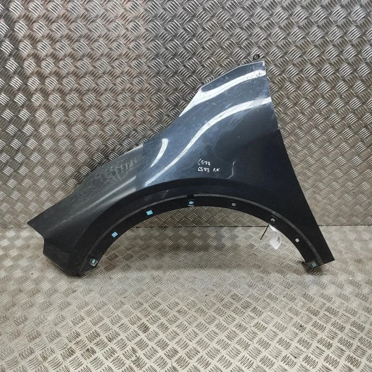 Błotnik 66311P1000