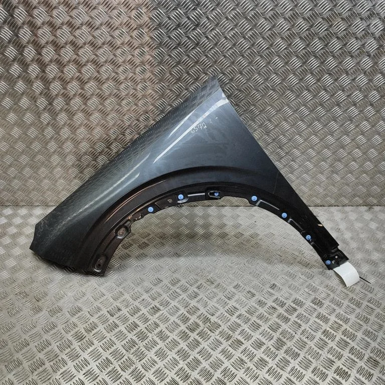 Błotnik 66311P1000
