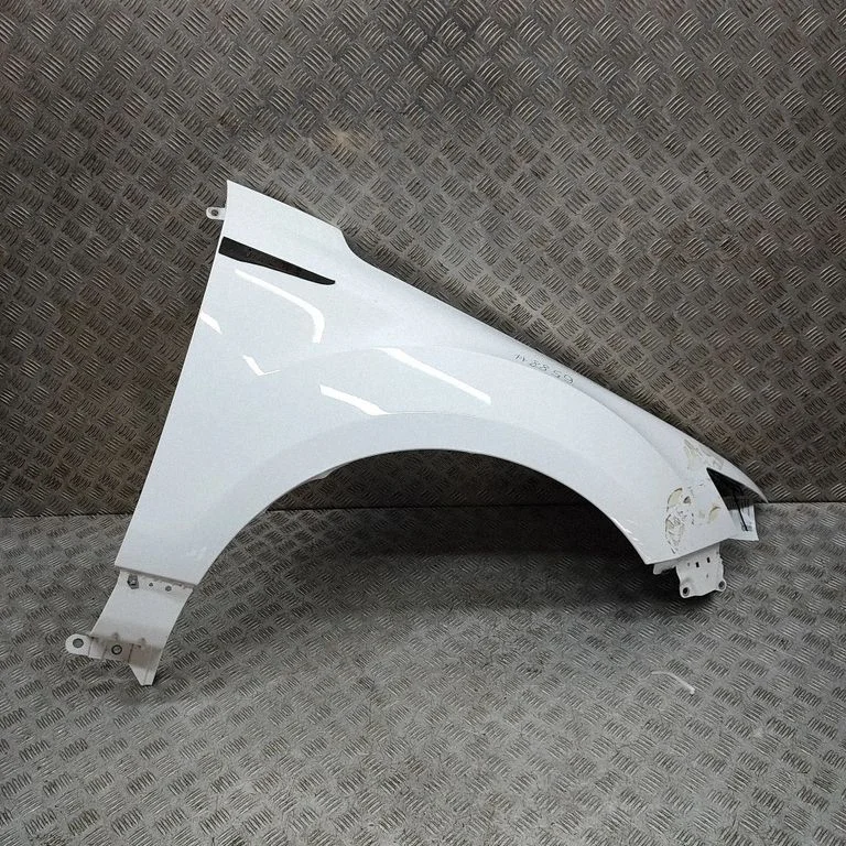 Błotnik 20829025