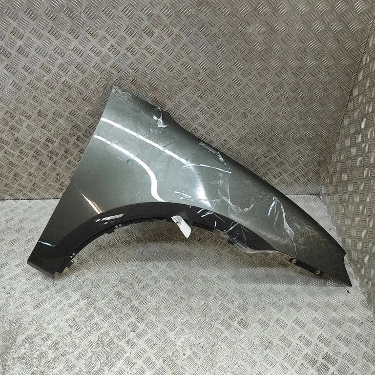 Błotnik 95C821102Y