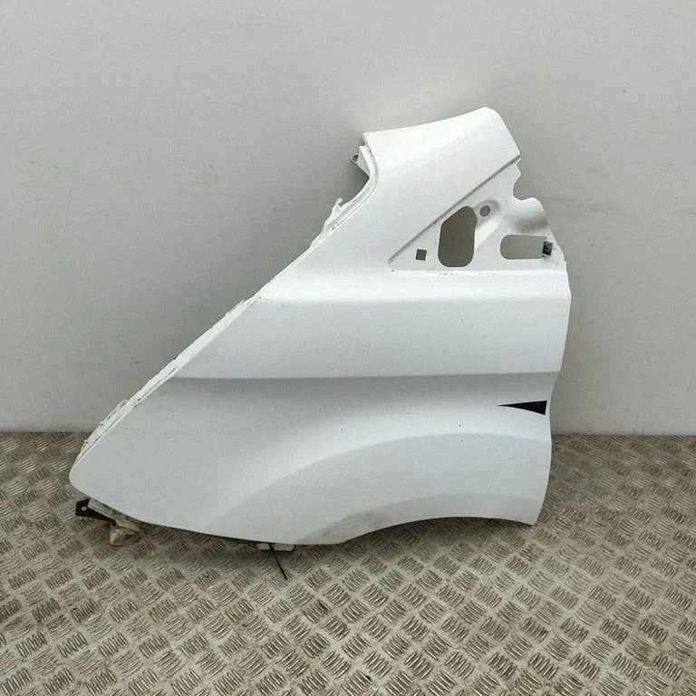 Fender PBK21V16006AE