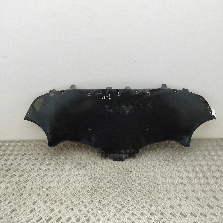 Center/middle under tray cover 163805100B