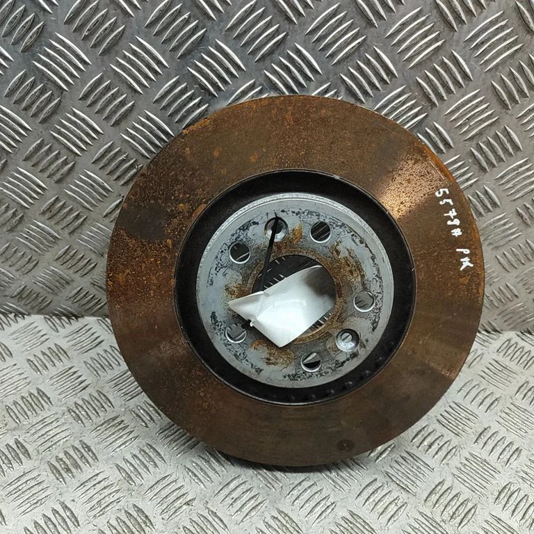 Front brake disc 402060029R