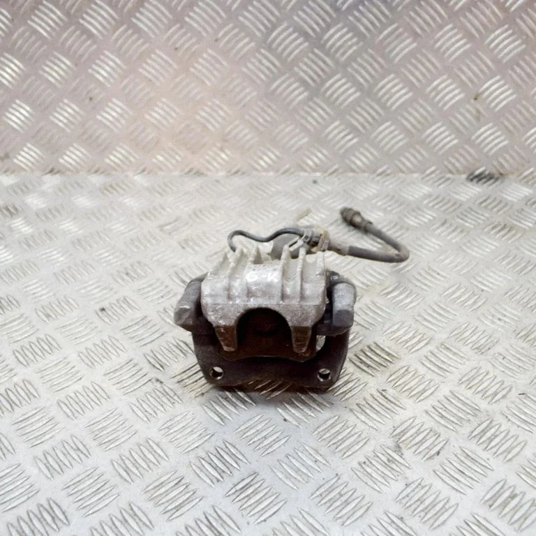 Tagumine pidurisadul – vasak