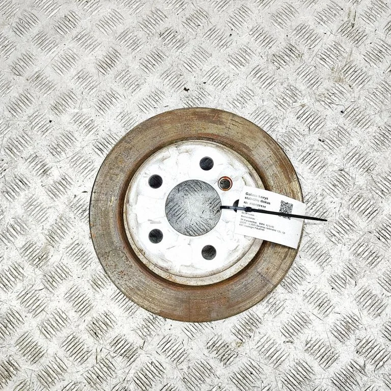 Rear brake disc 6891085