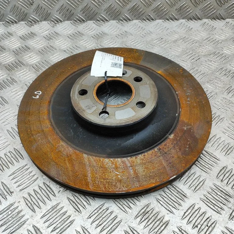 Tarcza hamulcowa tylna 31687439