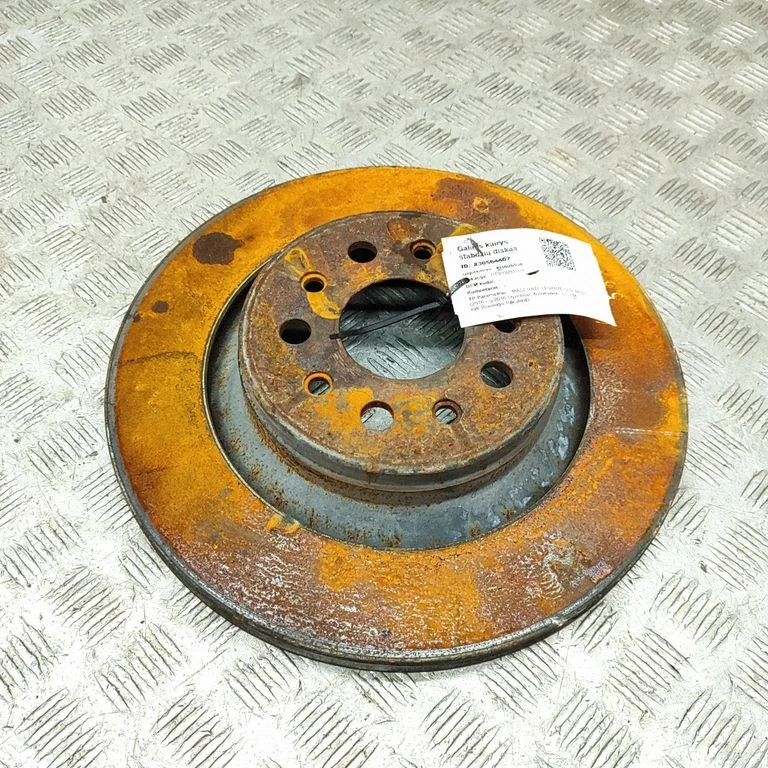 Tagumine piduriketas 670105705