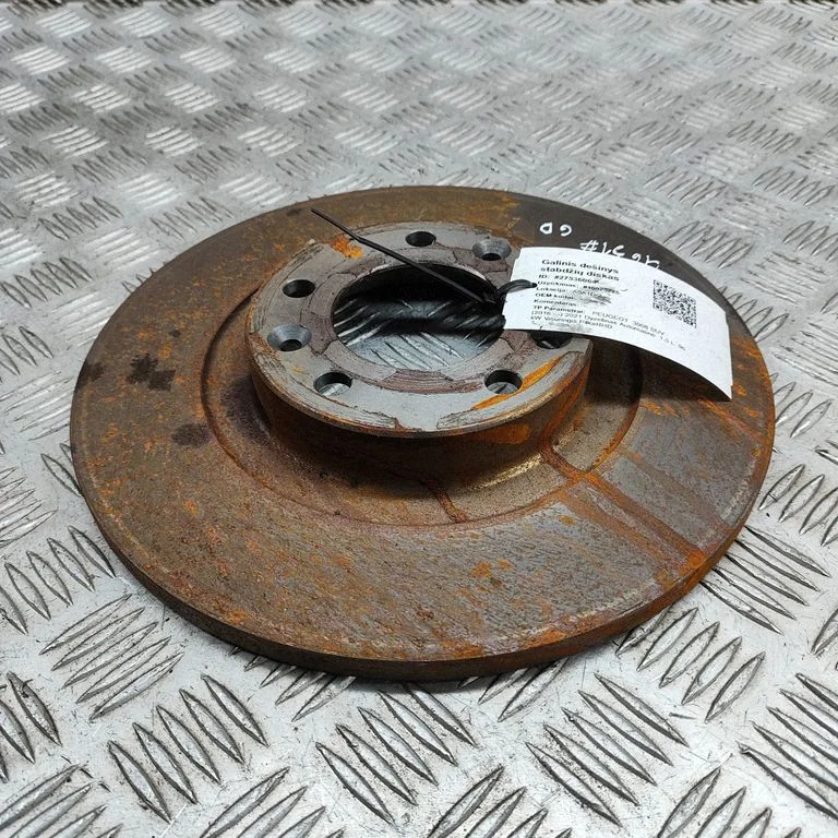 Aizmugurējais bremžu disks 1609583080