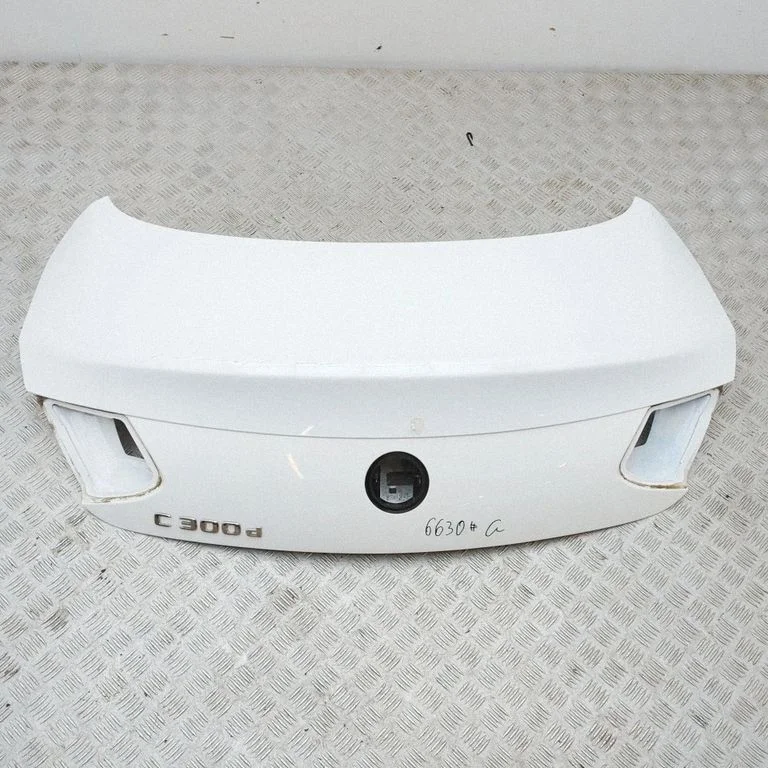 Aizmugurējais vāks (bagāžnieka) A2057570410