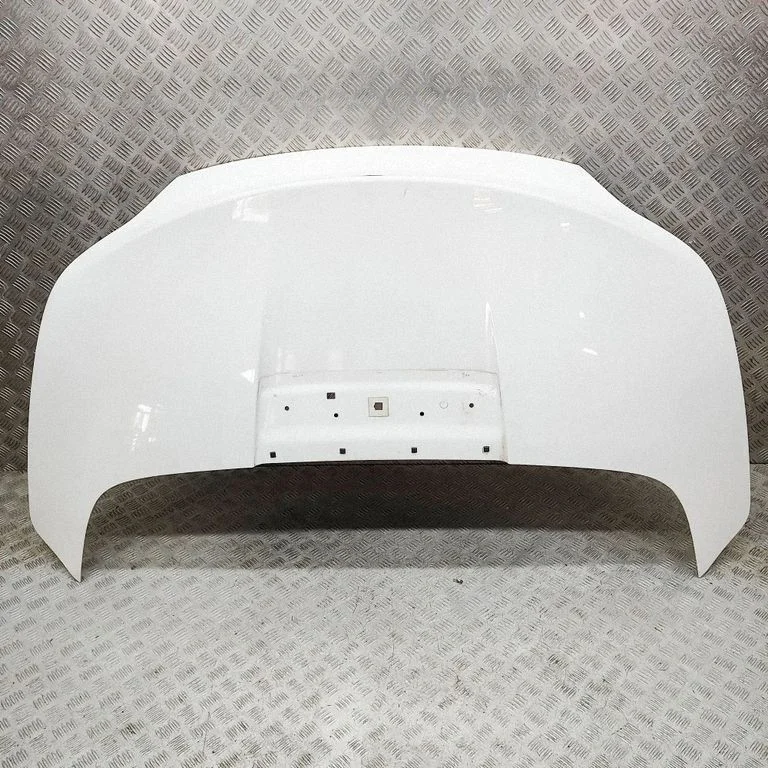 Aizmugurējais vāks (bagāžnieka) 7325848