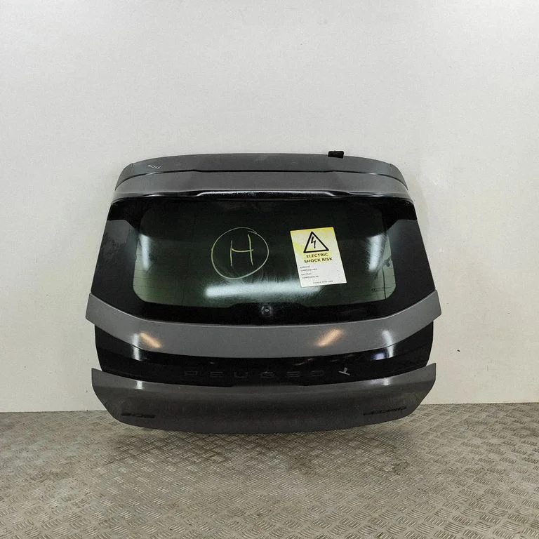 Aizmugurējais vāks (bagāžnieka) 9823161580