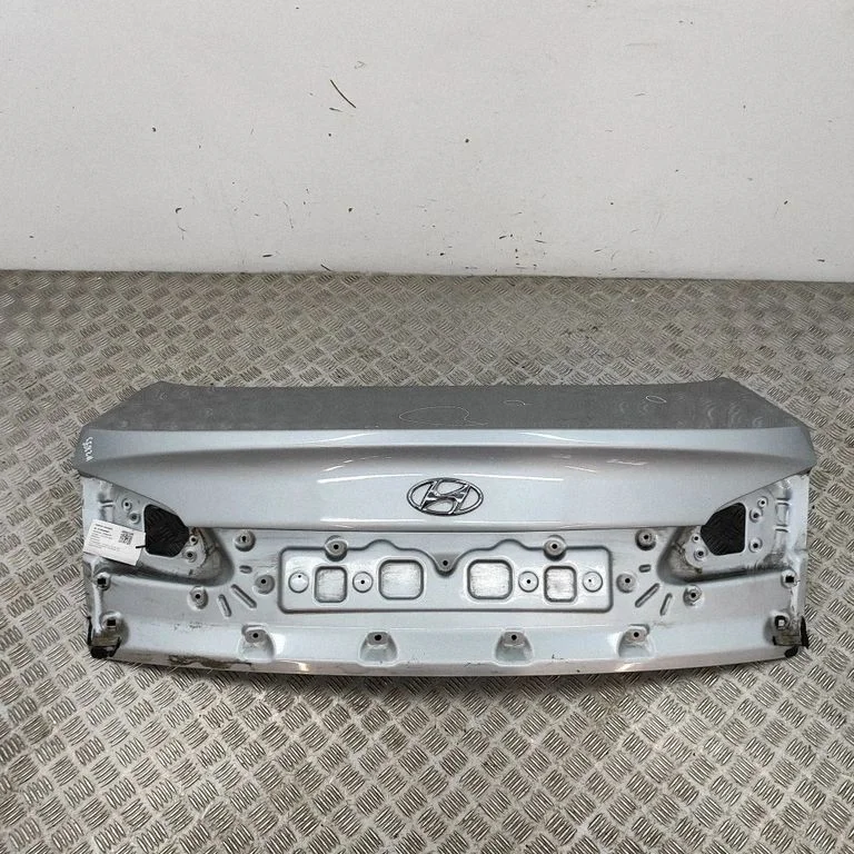 Aizmugurējais vāks (bagāžnieka) 692003Z310