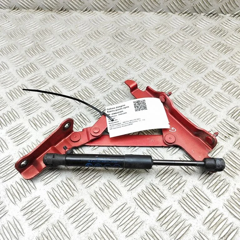Tailgate/trunk/boot hinge N24352720A