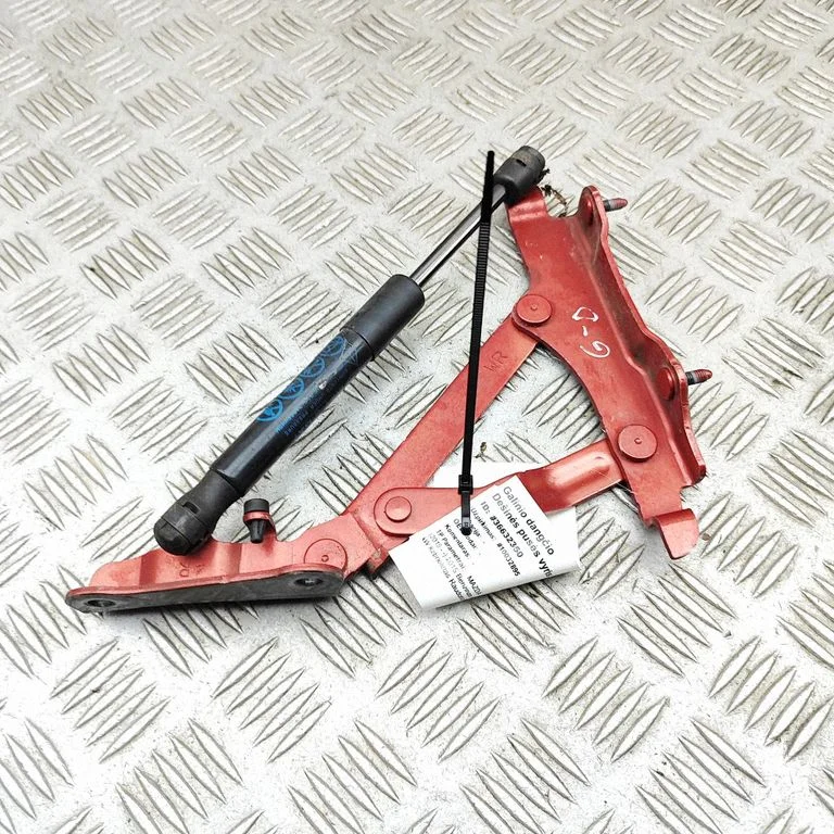 Tailgate/trunk/boot hinge N24352710A