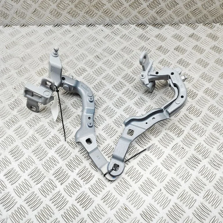 Tailgate/trunk/boot hinge 9629239