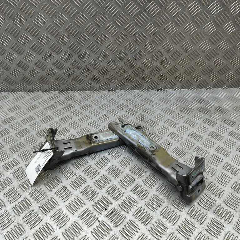 Zawiasy klapy bagażnika 55395401AH