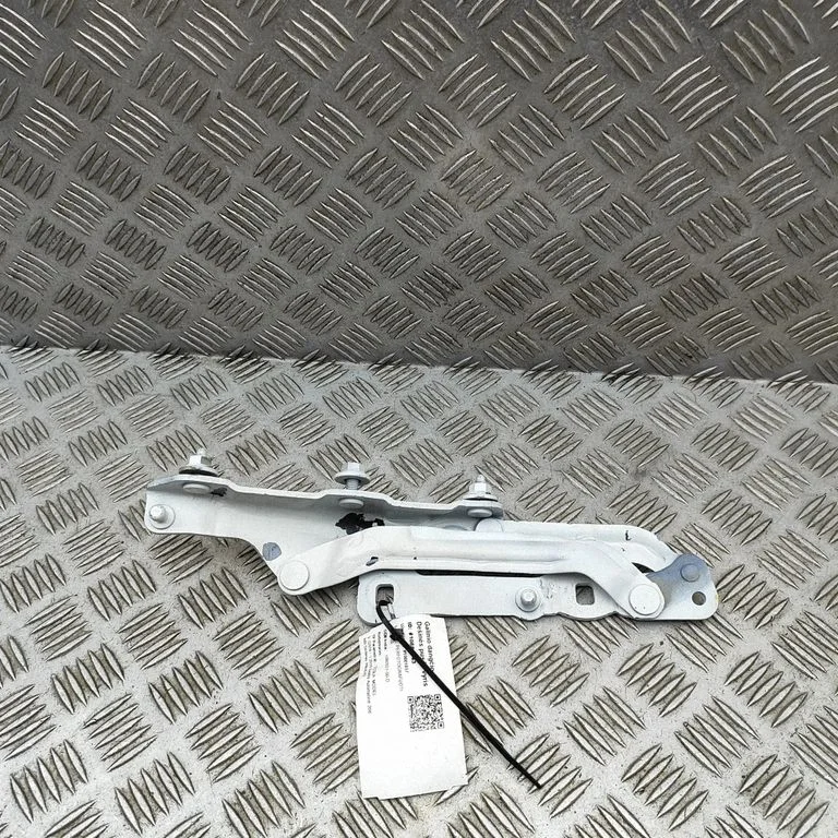 Tailgate/trunk/boot hinge 109282100D