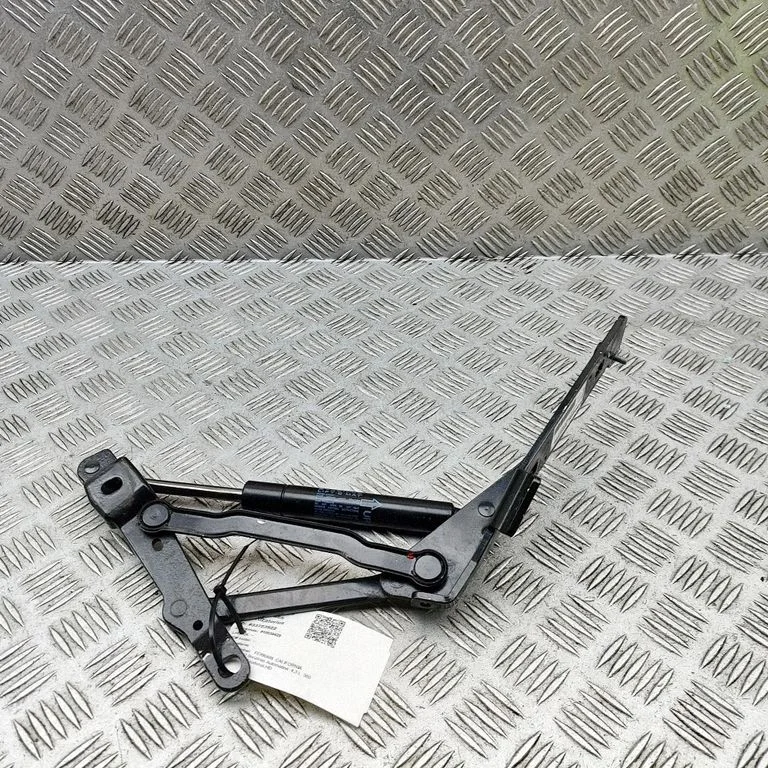Tailgate/trunk/boot hinge 9221654