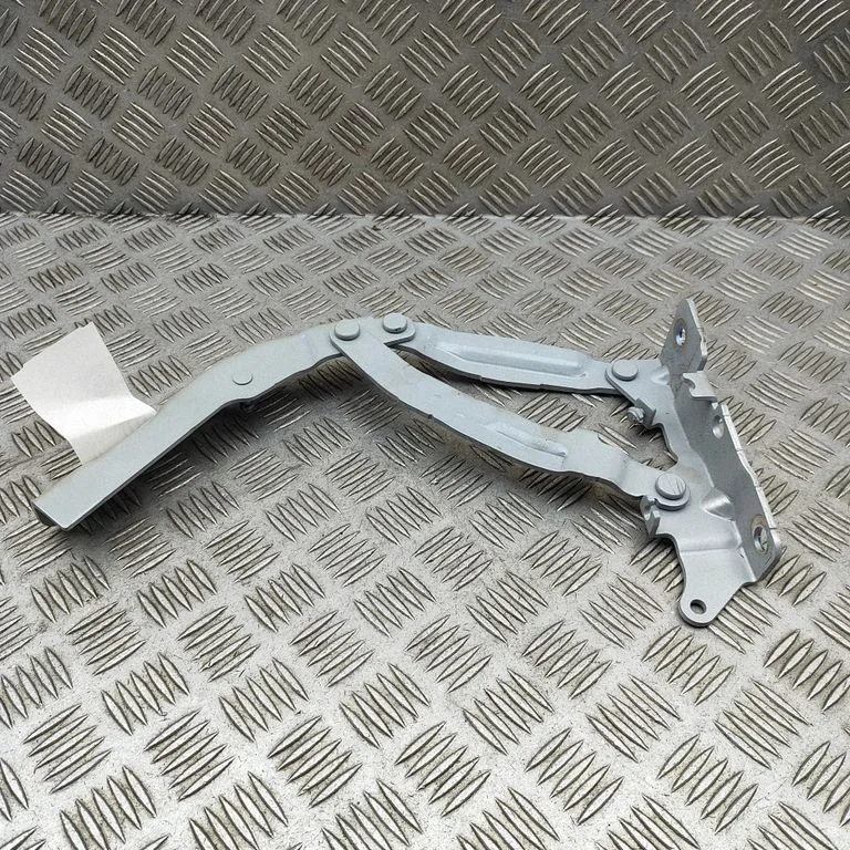 Tailgate/trunk/boot hinge 69920KL100