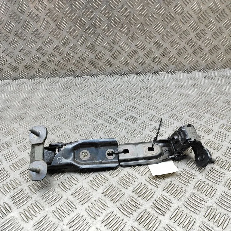 Aizmugurējā vāka eņģe (-es) – BMW X1 F48 F49 (2015-2022)