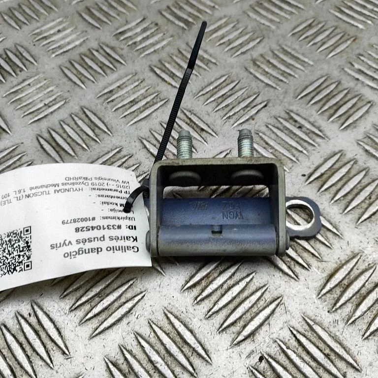 Aizmugurējā vāka eņģe (-es) 797102Y000