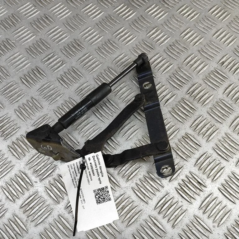 Aizmugurējā vāka eņģe (-es) 98751215202