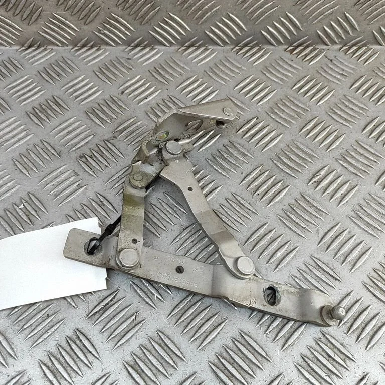 Tailgate/trunk/boot hinge 98651215201