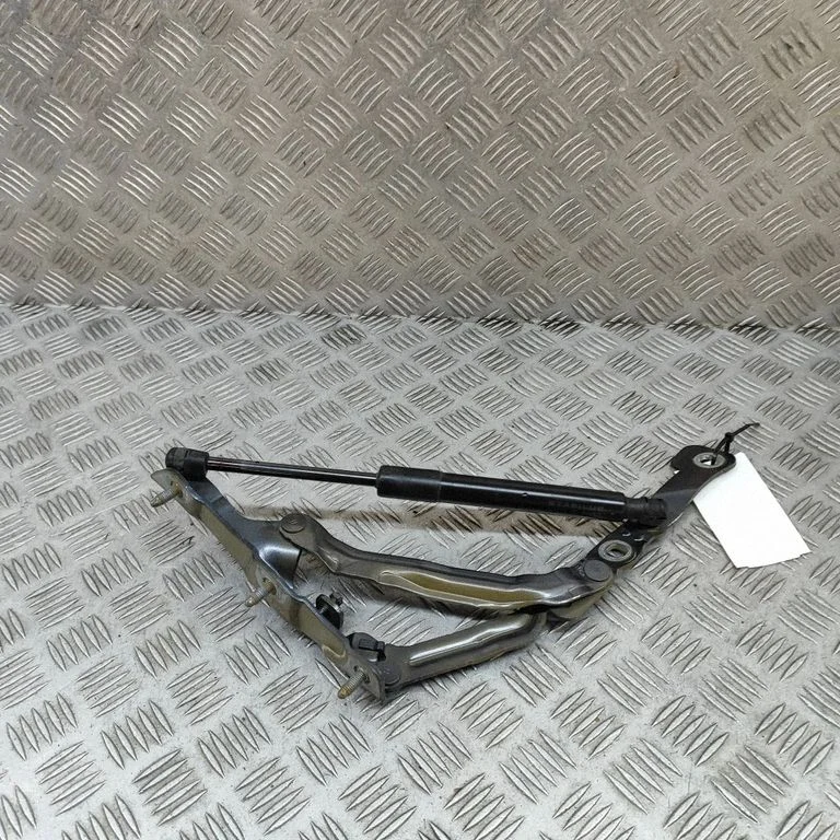Aizmugurējā vāka eņģe (-es) 109282100E