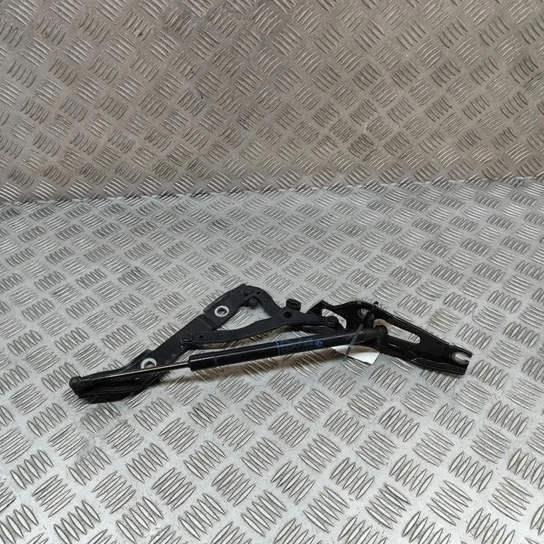 Aizmugurējā vāka eņģe (-es) 7304556