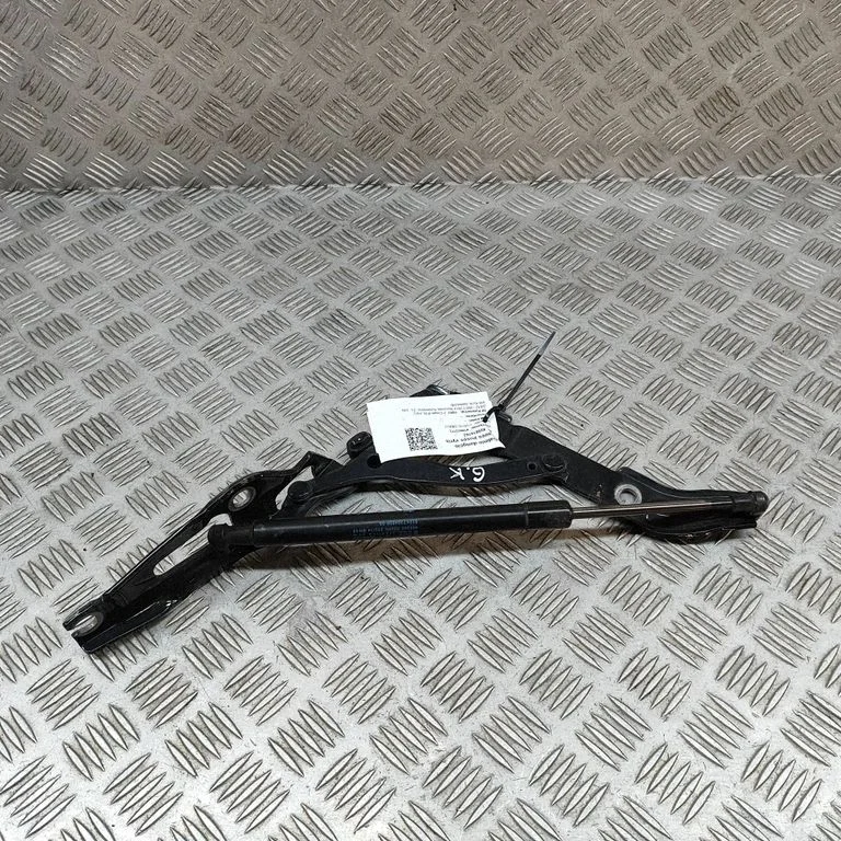Aizmugurējā vāka eņģe (-es) 7304556