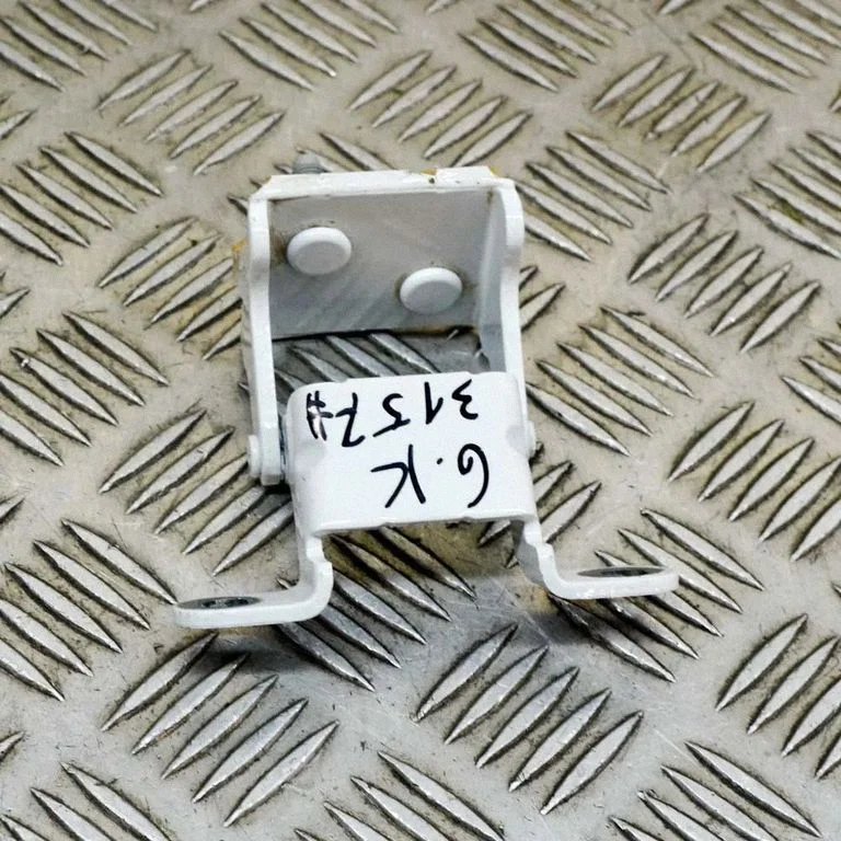 Aizmugurējā vāka eņģe (-es)