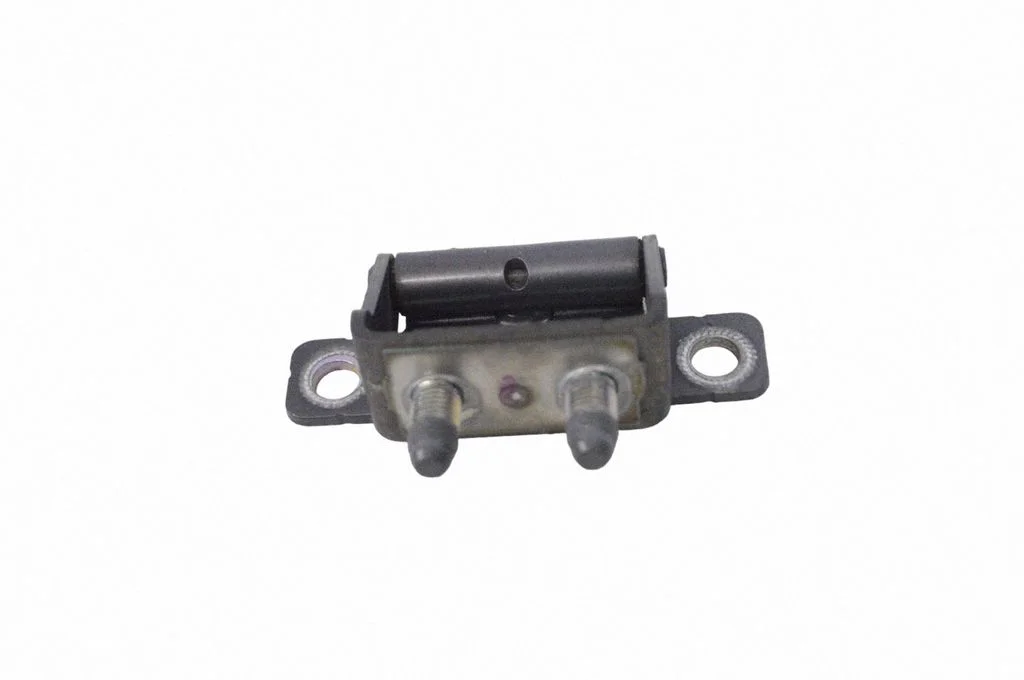 Tailgate/trunk/boot hinge – left