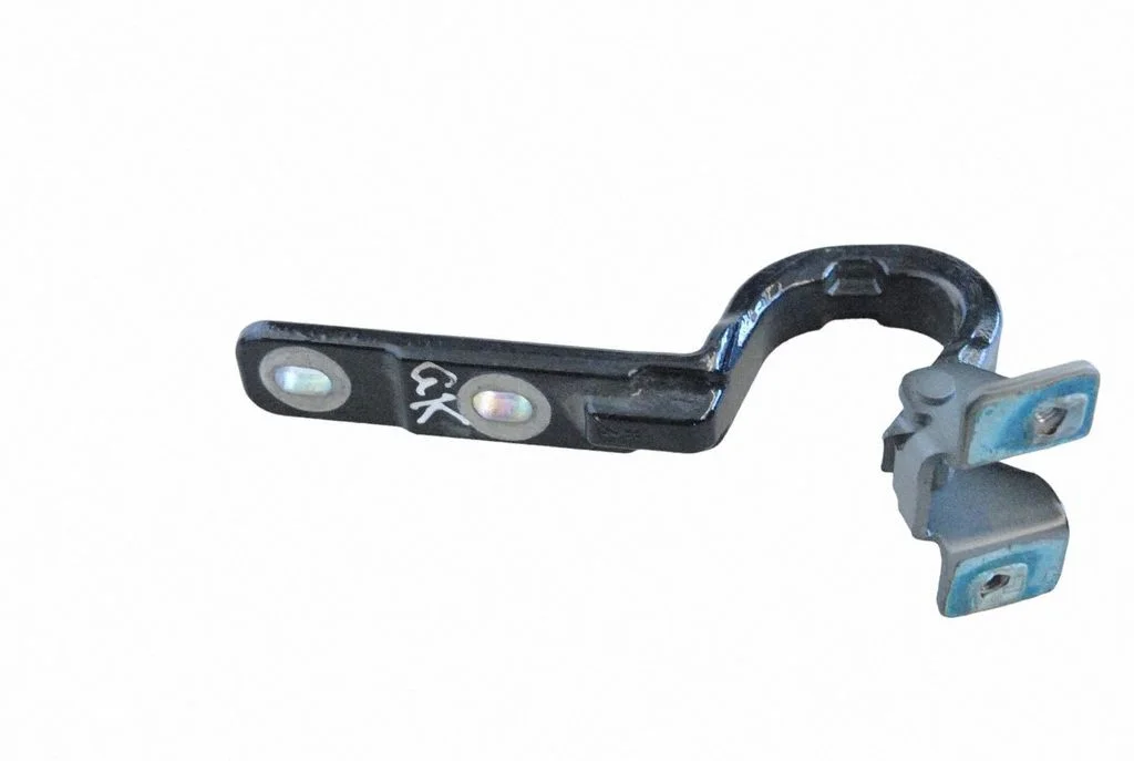 Tailgate/trunk/boot hinge – left