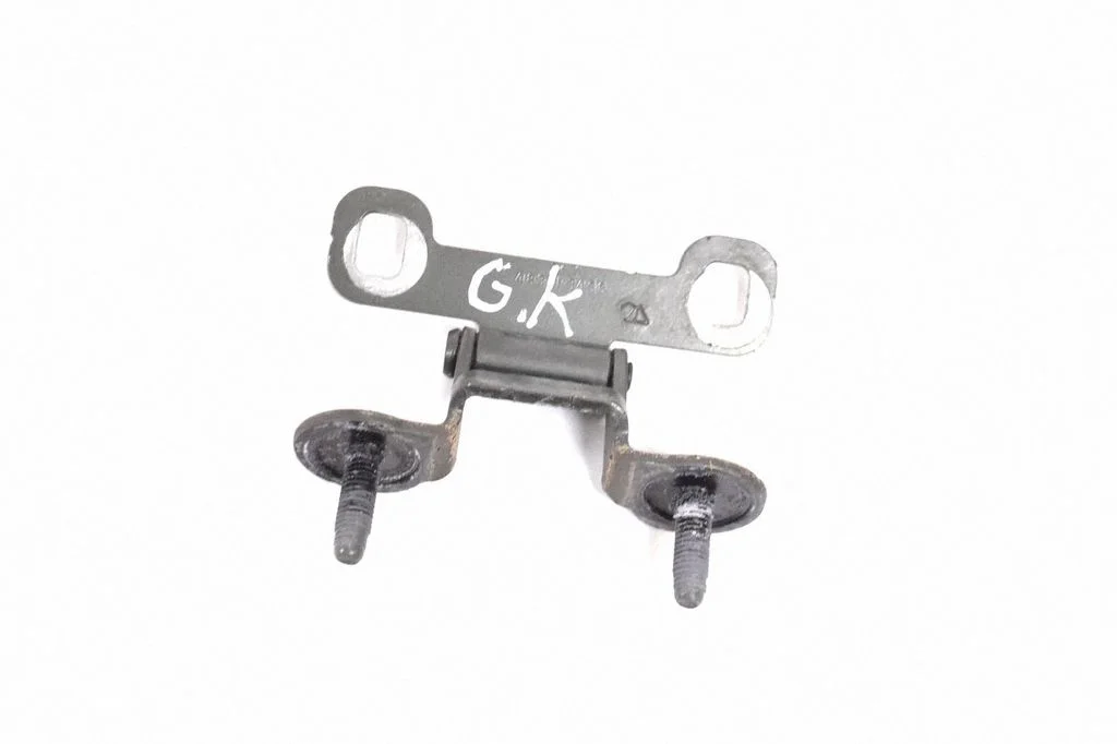 Tailgate/trunk/boot hinge – left