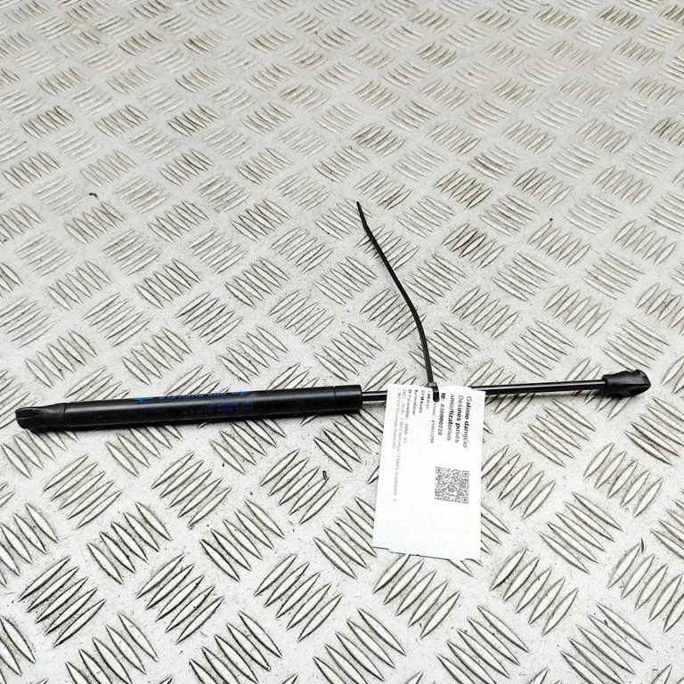 Tagaluugi gaasiamortisaator 9870684