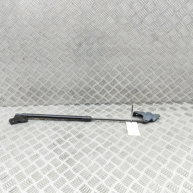 Tagaluugi gaasiamortisaator A4479800264