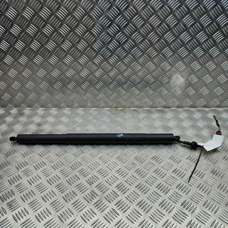 Tagaluugi gaasiamortisaator 14B827851B