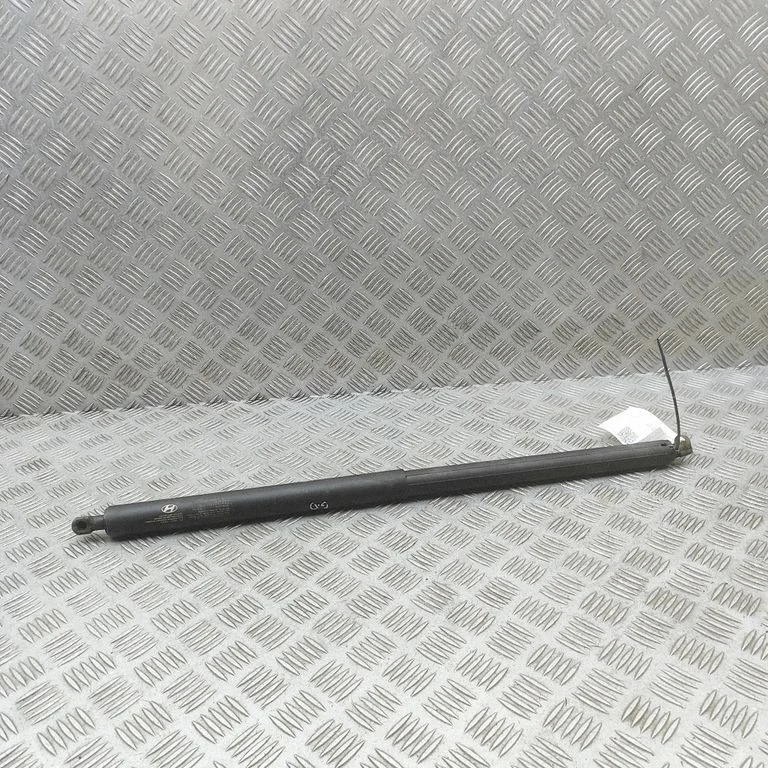 Tagaluugi gaasiamortisaator 81841GI101