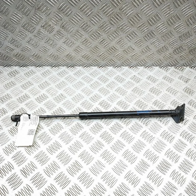 Aizmugurējā vāka amortizators 10444797