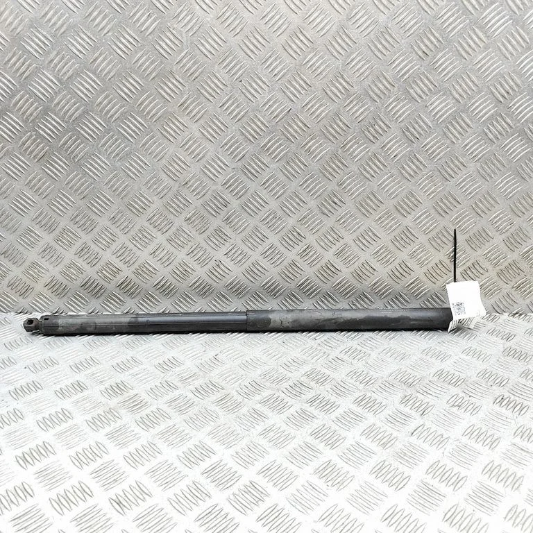 Tagaluugi gaasiamortisaator 106566900A