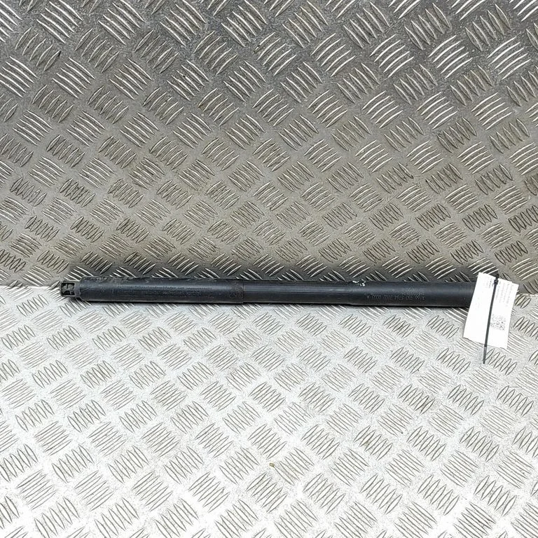 Tagaluugi gaasiamortisaator A1669803764