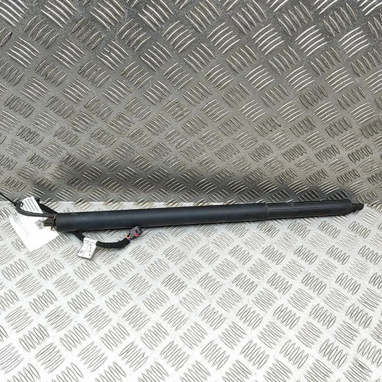 Aizmugurējā vāka amortizators 505502580
