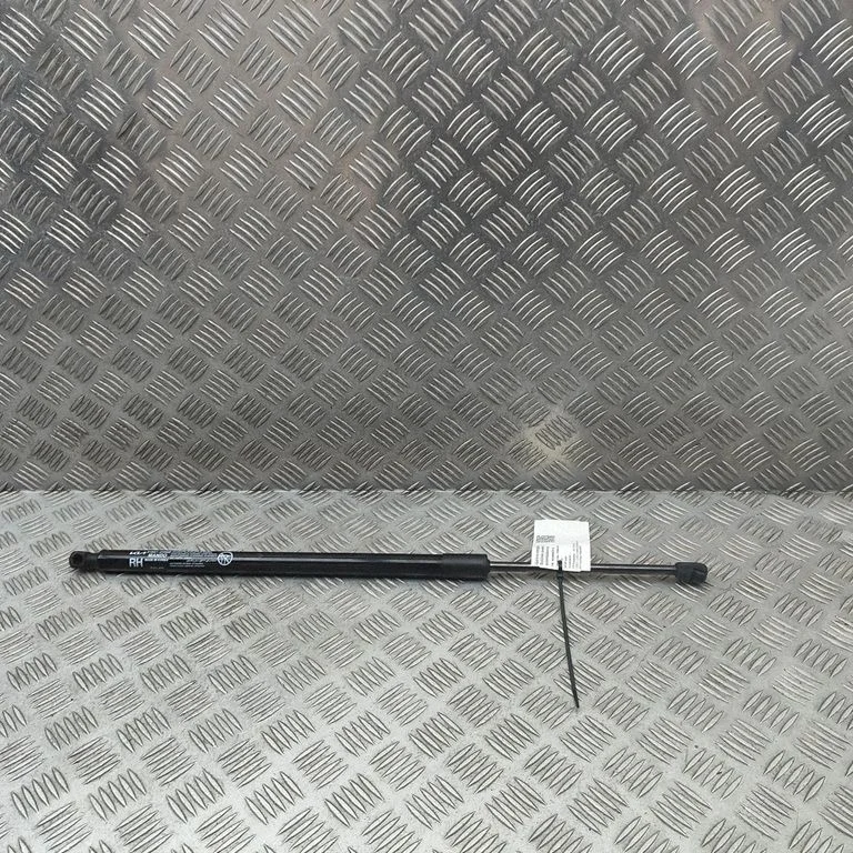 Tagaluugi gaasiamortisaator 81841CV000