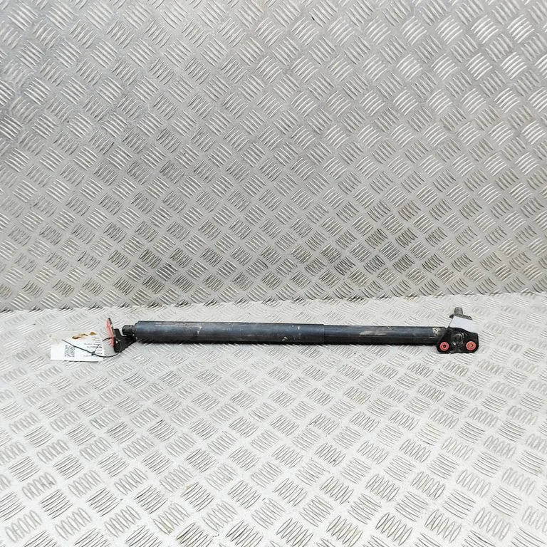 Aizmugurējā vāka amortizators SC2E6309511